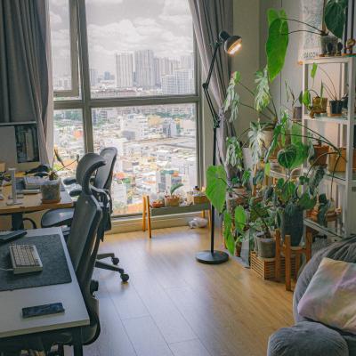 Pexels Huy Phan 316220 12387177